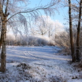 090109-wvdl-winter in HaDee  04 